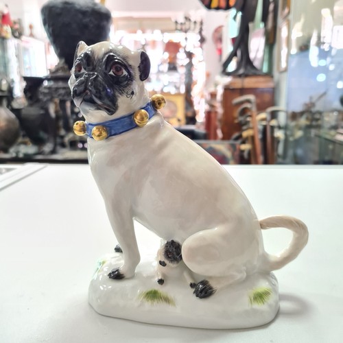Meissen hund mops - hund,