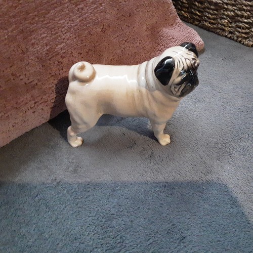 Beswick stehender mops - beswick,