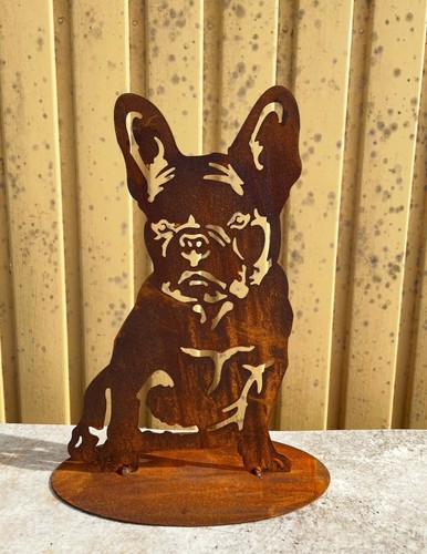 Hund französische bulldogge - hund,