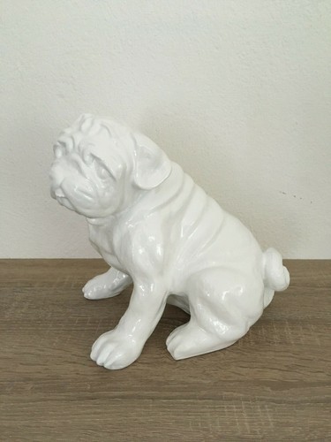 Mops weiss weiß glanz - weiss, hund