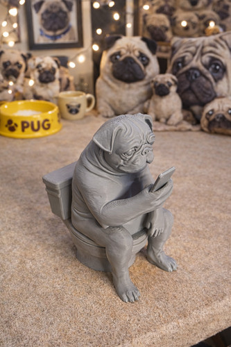 Mops auf toilette mit handy - auf,